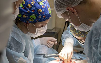 THE RESULTS OF THE INNOVATIVE COMPETITION «UMNIK» OF THE INNOVATION PROMOTION FUND