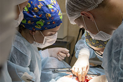 THE RESULTS OF THE INNOVATIVE COMPETITION «UMNIK» OF THE INNOVATION PROMOTION FUND