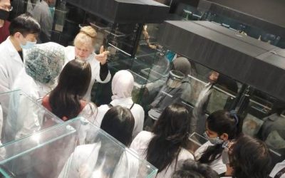 ANATOMY — THE MOTHER OF MEDICINE