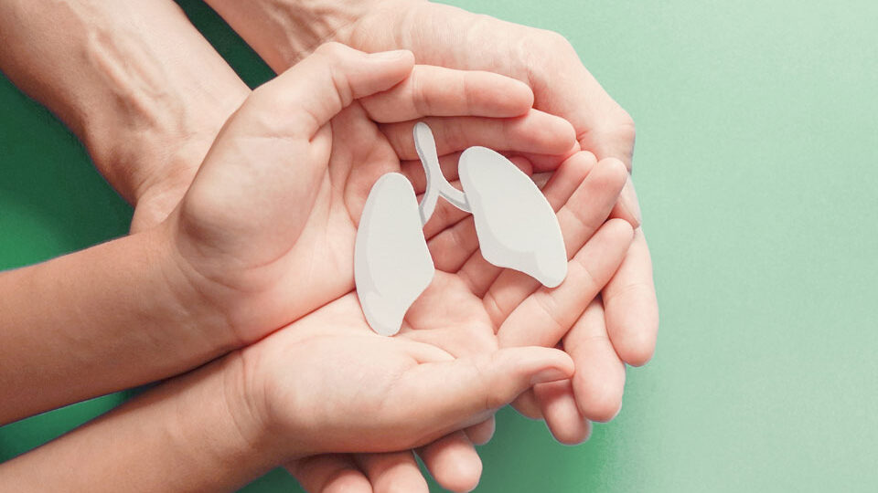 24TH OF MARCH — WORLD TUBERCULOSIS DAY