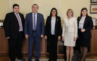 VISIT OF THE DELEGATION OF THE EMBASSY OF SRI LANKA IN RUSSIA TO KSMU