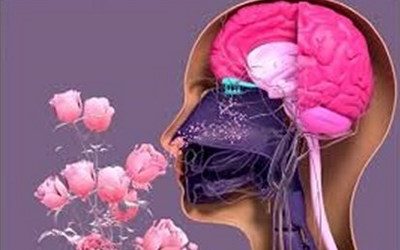 MAY 30 — WORLD ASTHMA AND ALLERGY DAY