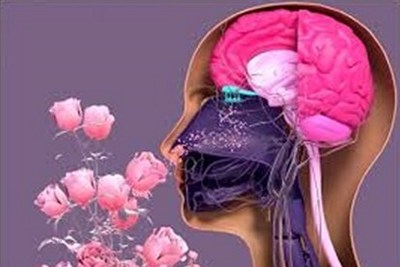 MAY 30 — WORLD ASTHMA AND ALLERGY DAY