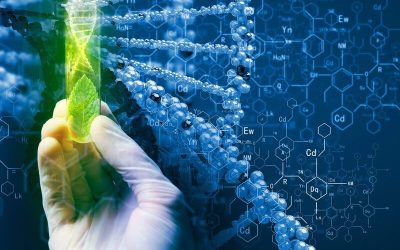 XII CONFERENCE «BIOTECHNOLOGY AND BIOMEDICAL ENGINEERING»