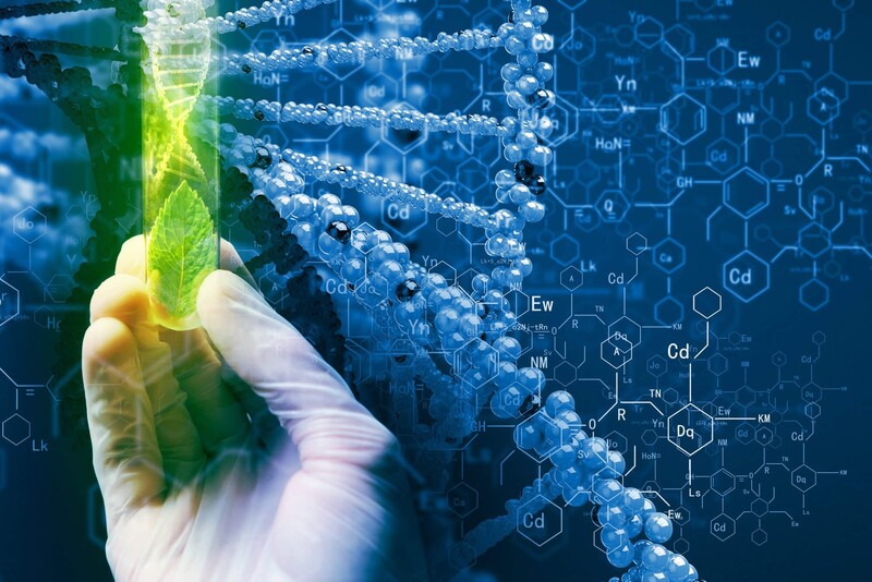 XII CONFERENCE «BIOTECHNOLOGY AND BIOMEDICAL ENGINEERING»
