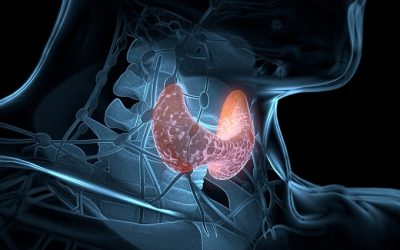 WE INVITE YOU TO PARTICIPATE IN THE CONFERENCE «THYROID DISEASES «