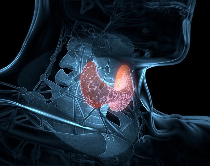 WE INVITE YOU TO PARTICIPATE IN THE CONFERENCE «THYROID DISEASES «